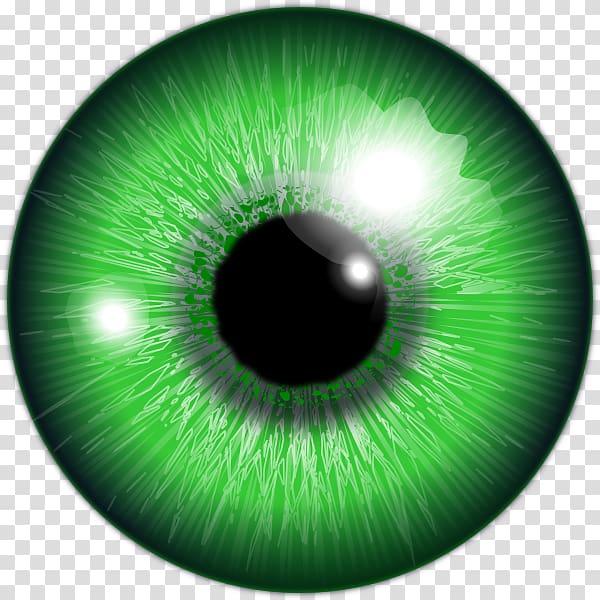 eyeball clipart coloured eye