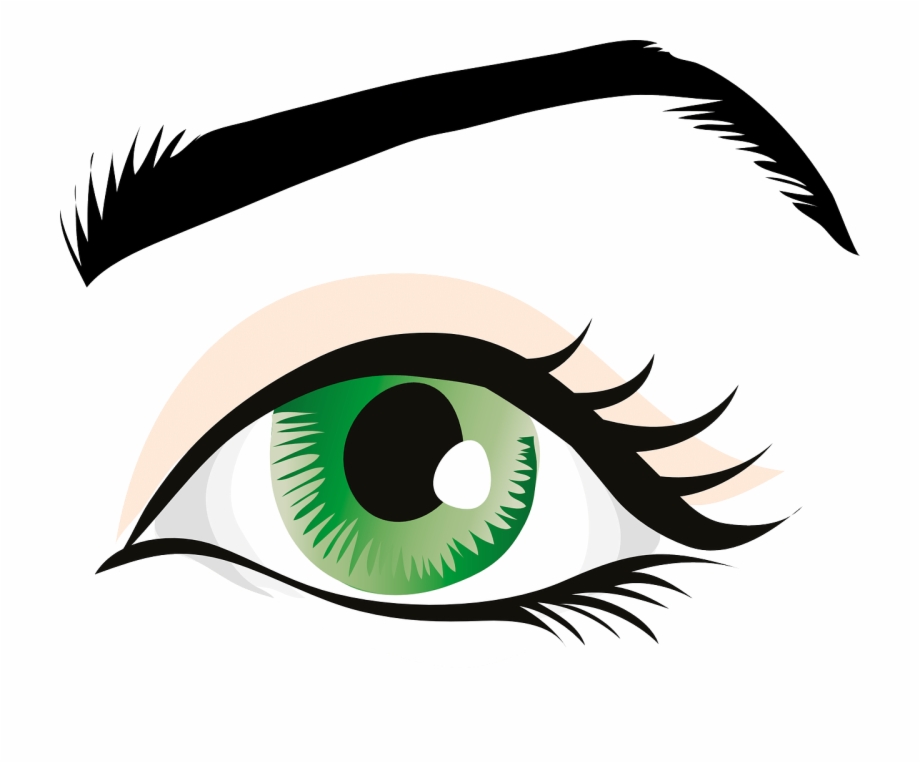 eyeball clipart coloured eye