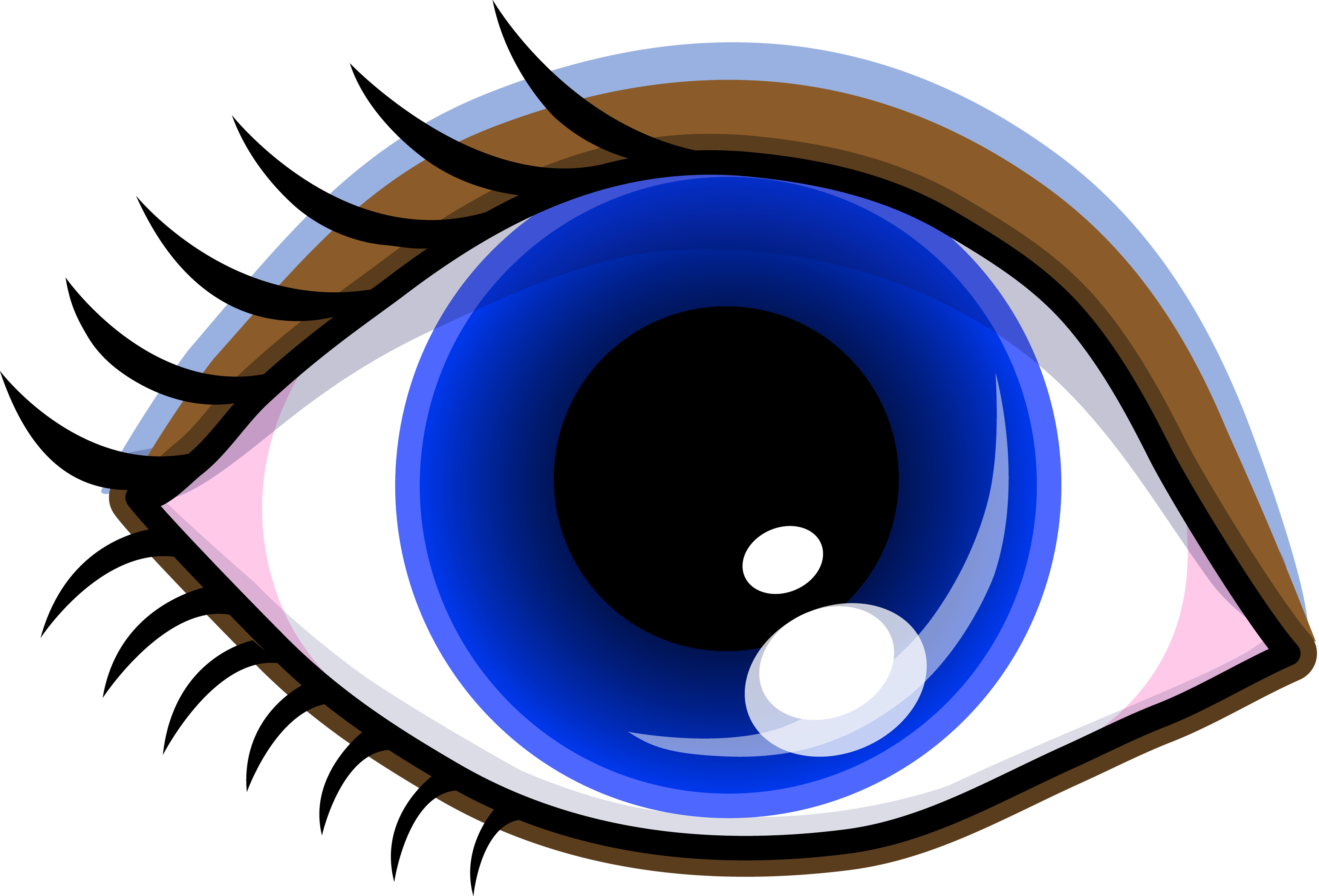 eyeball clipart eye exam