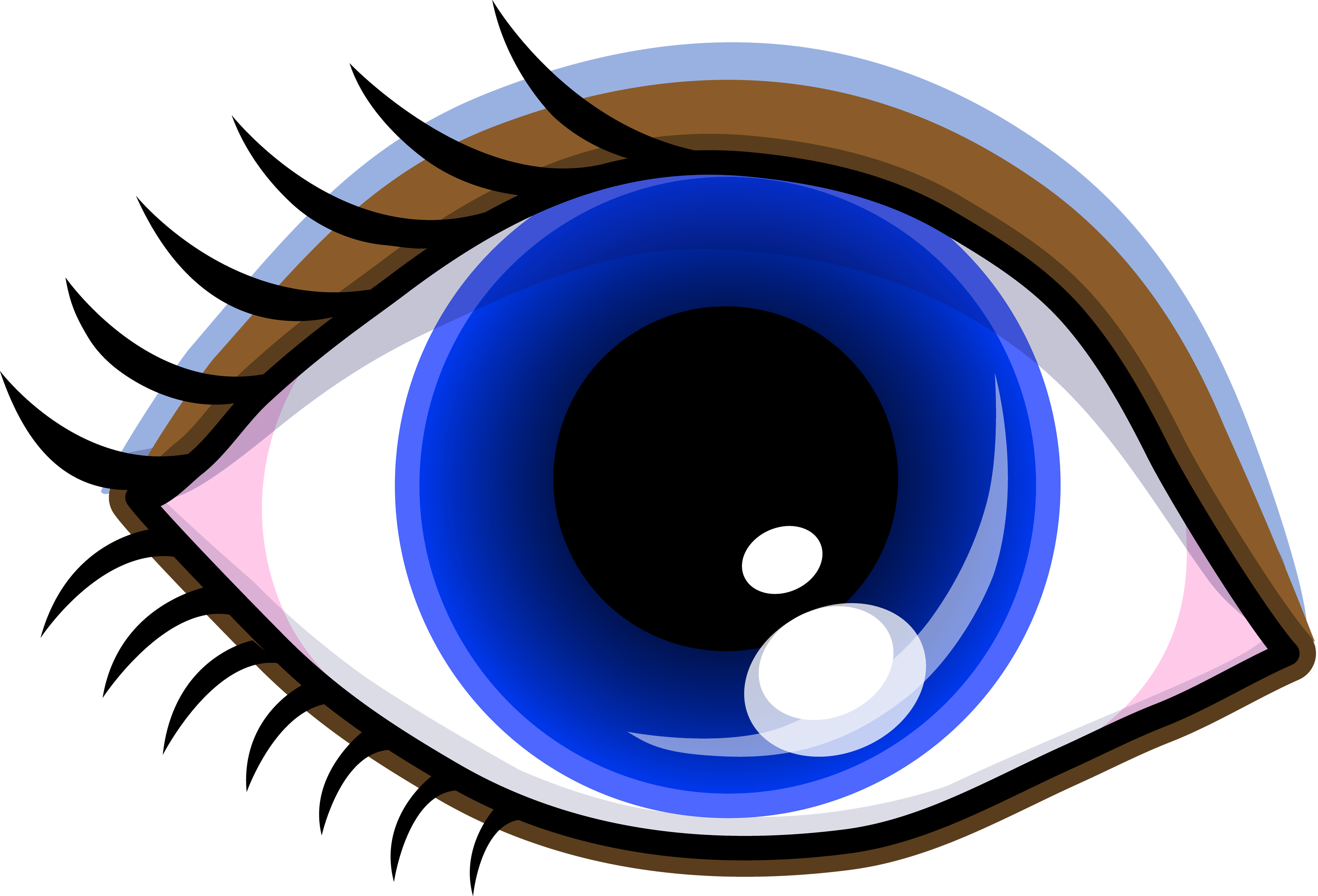 Hd png transpa library. Eyeball clipart eye exam