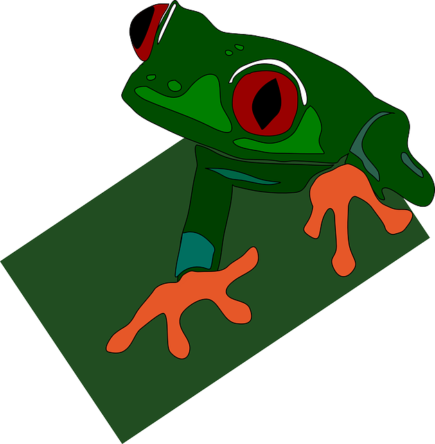 eyeball clipart frog eye