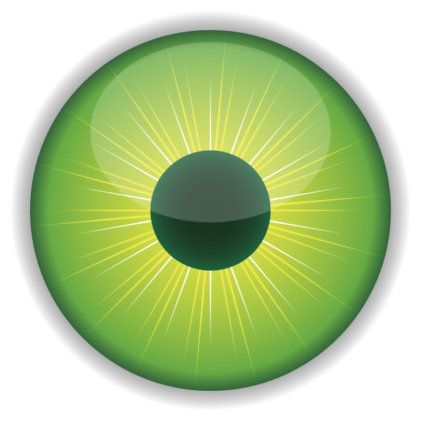 vision clipart visual