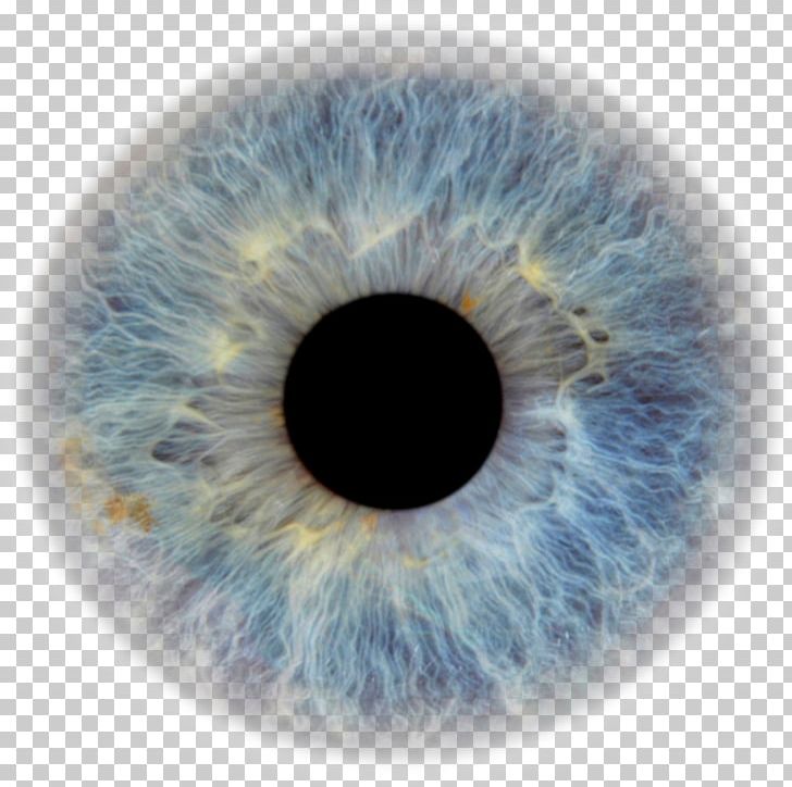 eyeball clipart pupil eye