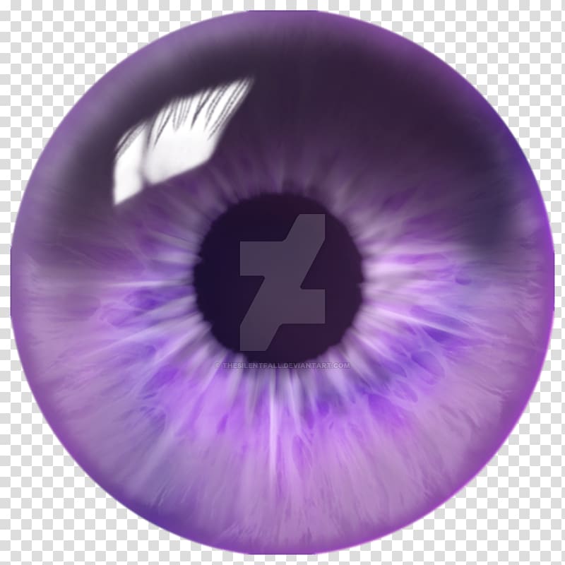 Iris eye quill violet. Eyeball clipart purple