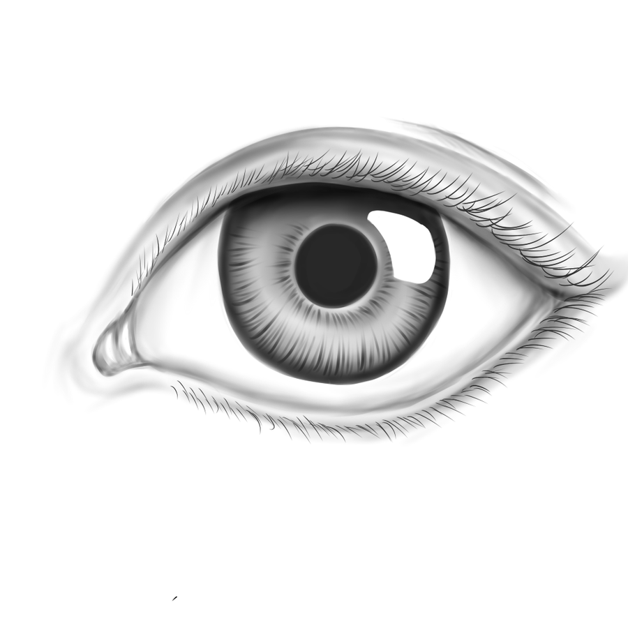 eyeball clipart realistic