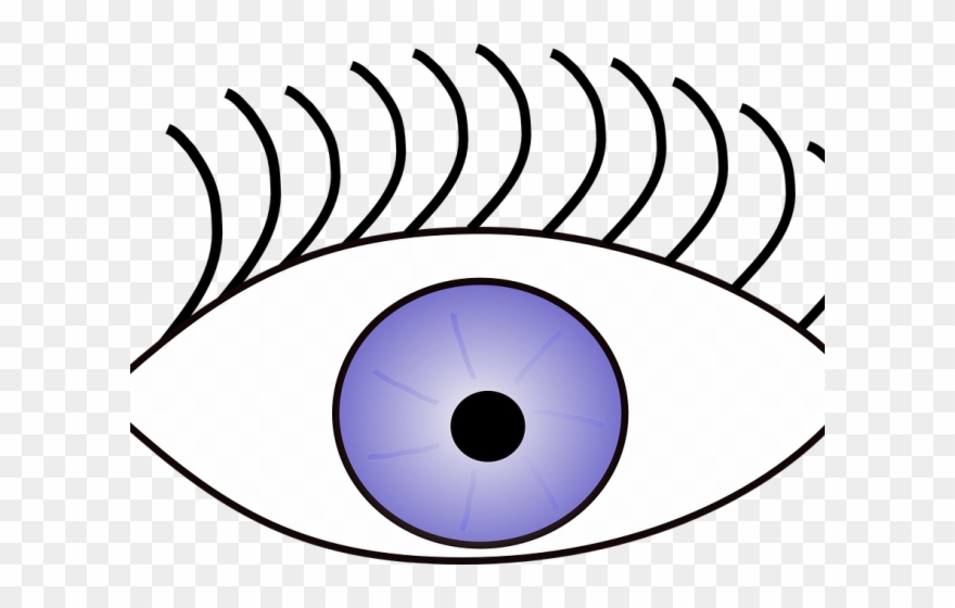 eyeball clipart sight senses