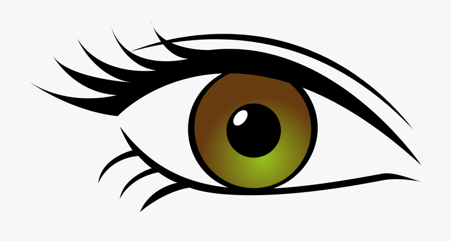 eyeball clipart transparent background