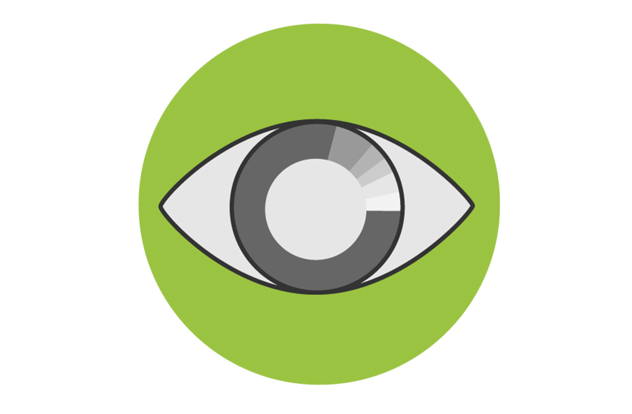 eyeball clipart visual processing