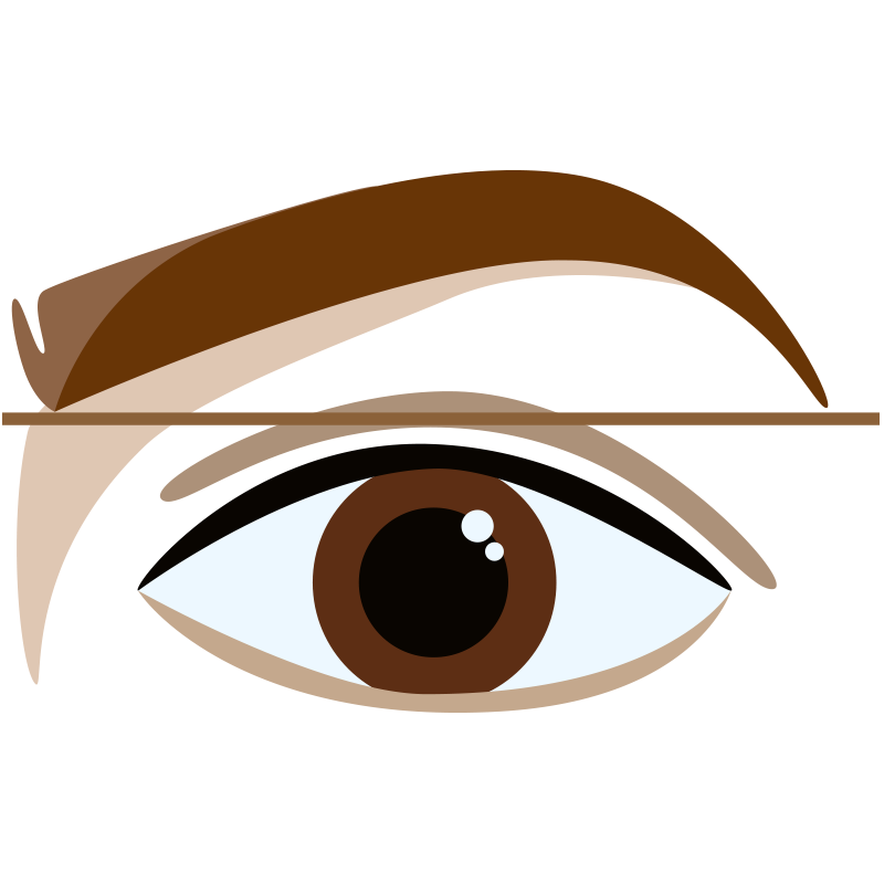 eyeballs clipart eye care
