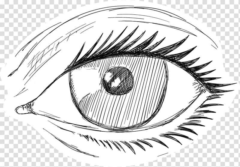 eyeballs clipart eye sketch