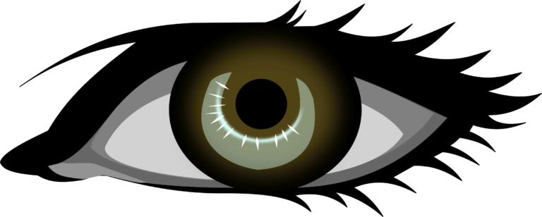  eyes black and. Eyeballs clipart horse eye