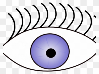 Green eyes eye clip. Eyeballs clipart sense sight
