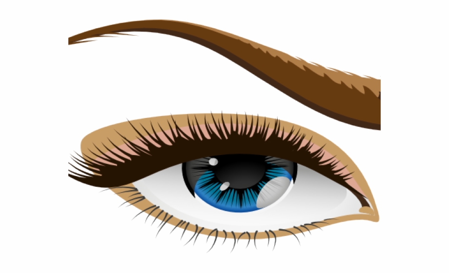 Eyeballs clipart small eye. Brown eyes free png