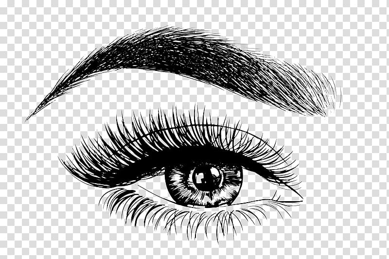 eyelash clipart drawn