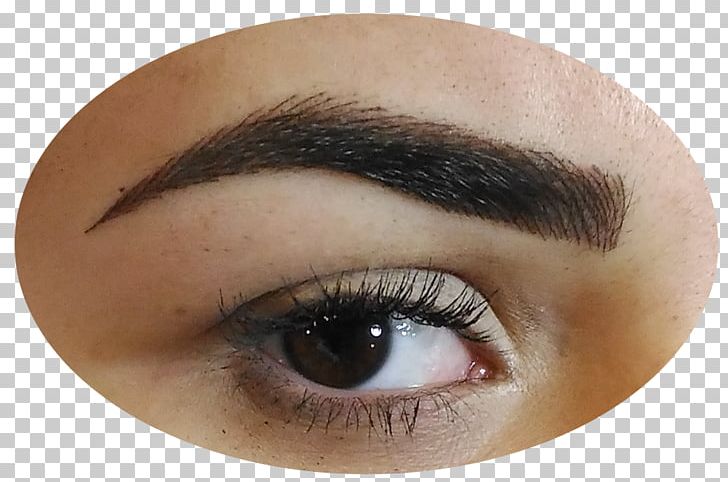 Permanent shadow eyelash extensions. Eyebrow clipart eye makeup