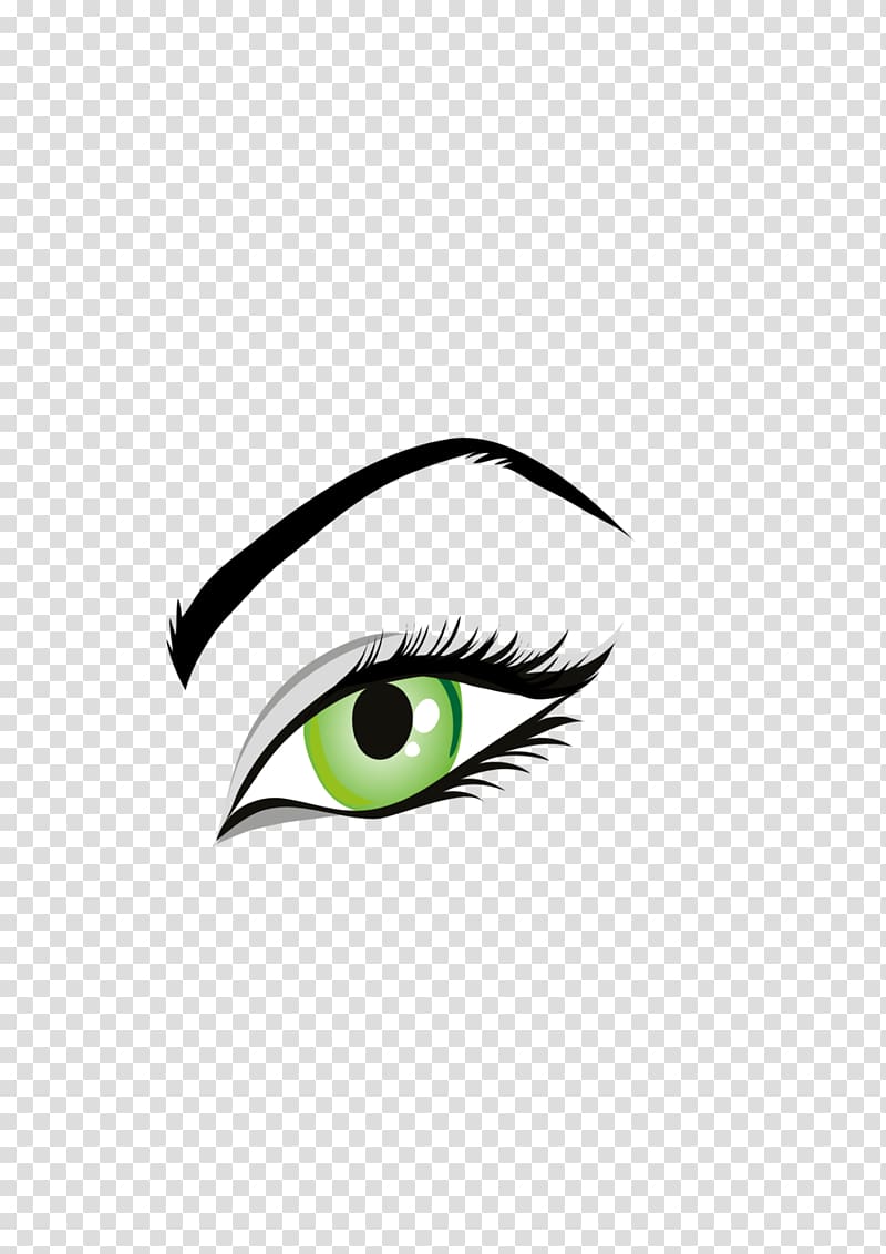 Eyebrow clipart green eye. Human eyebrows transparent background