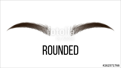 Medium rounded vector brows. Eyebrow clipart hand drawn