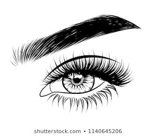 Eyebrow clipart hand drawn. Illustration for beauty salon