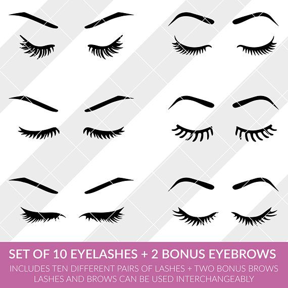 Set of eyelashes svg. Eyebrow clipart paper