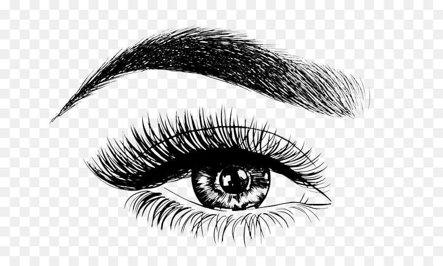 eyebrow clipart pretty eye