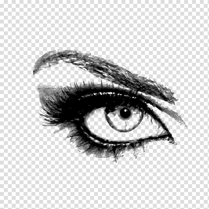 eyebrow clipart pretty eye