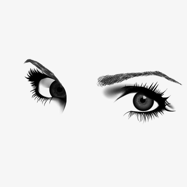 Eyebrow clipart single eye. Download for free png