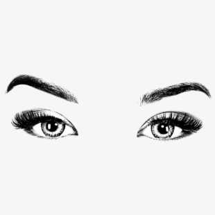 Drawing of eyes closed. Eyebrow clipart women's eye