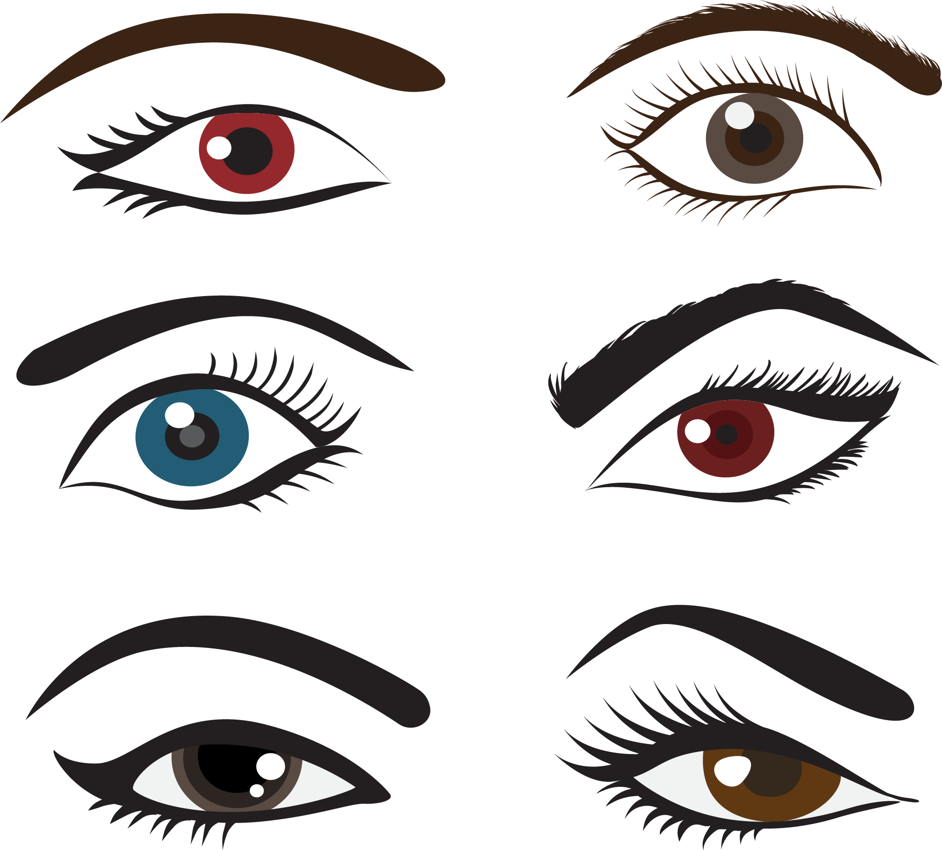 . Eyebrow clipart 眼睛