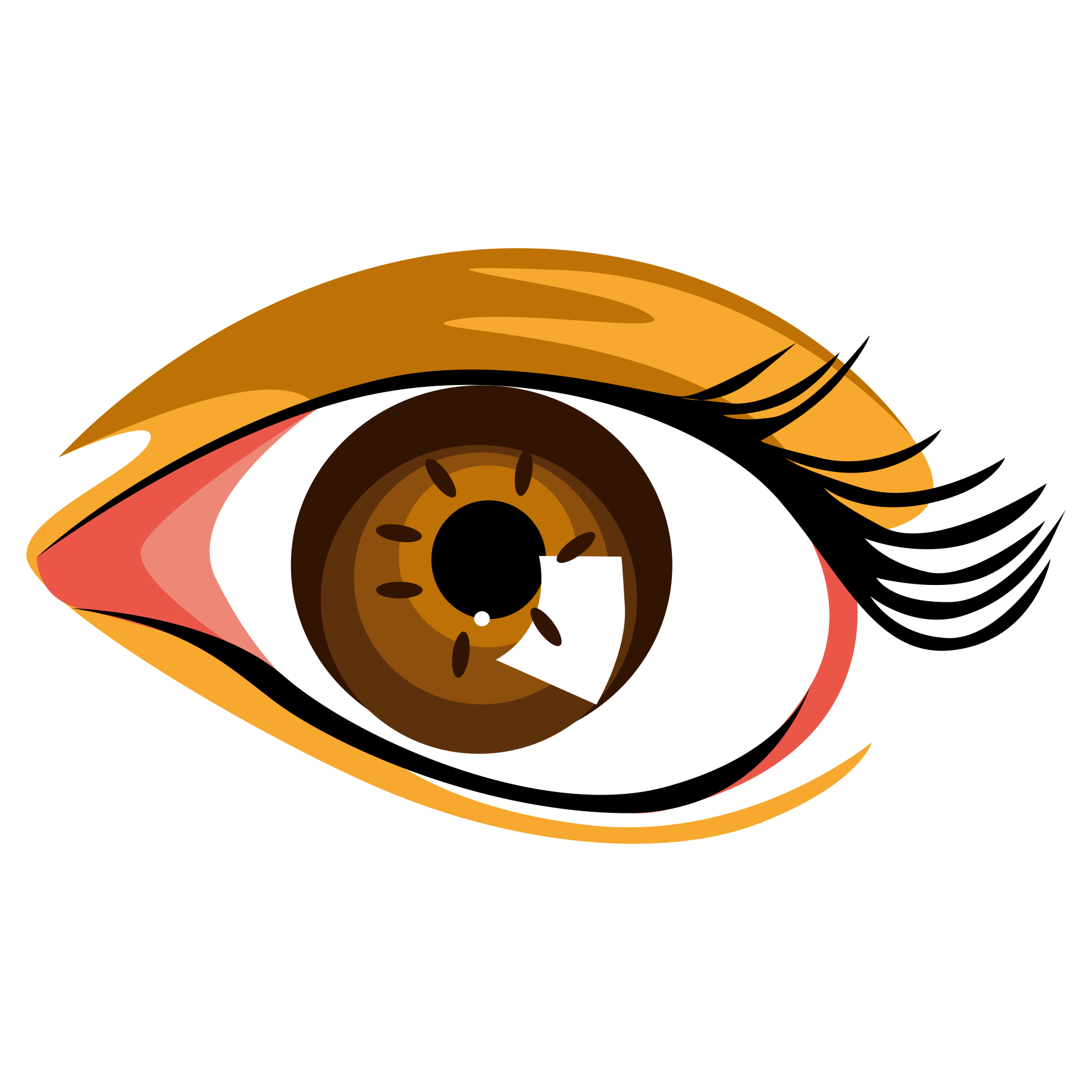  png. Eyebrow clipart 眼睛