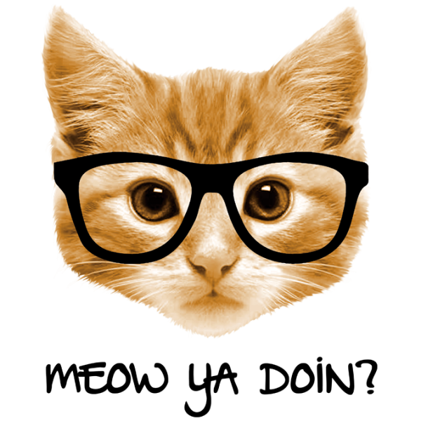 eyeglasses clipart cat