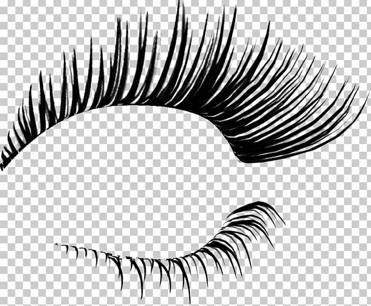 Eyelash clipart black and white. Extensions cosmetics png beauty
