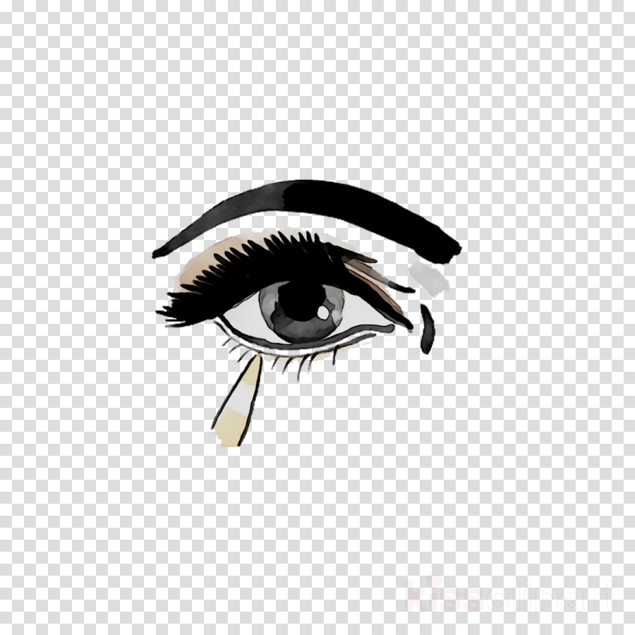 Eyelash clipart nose. Eye cartoon transparent clip