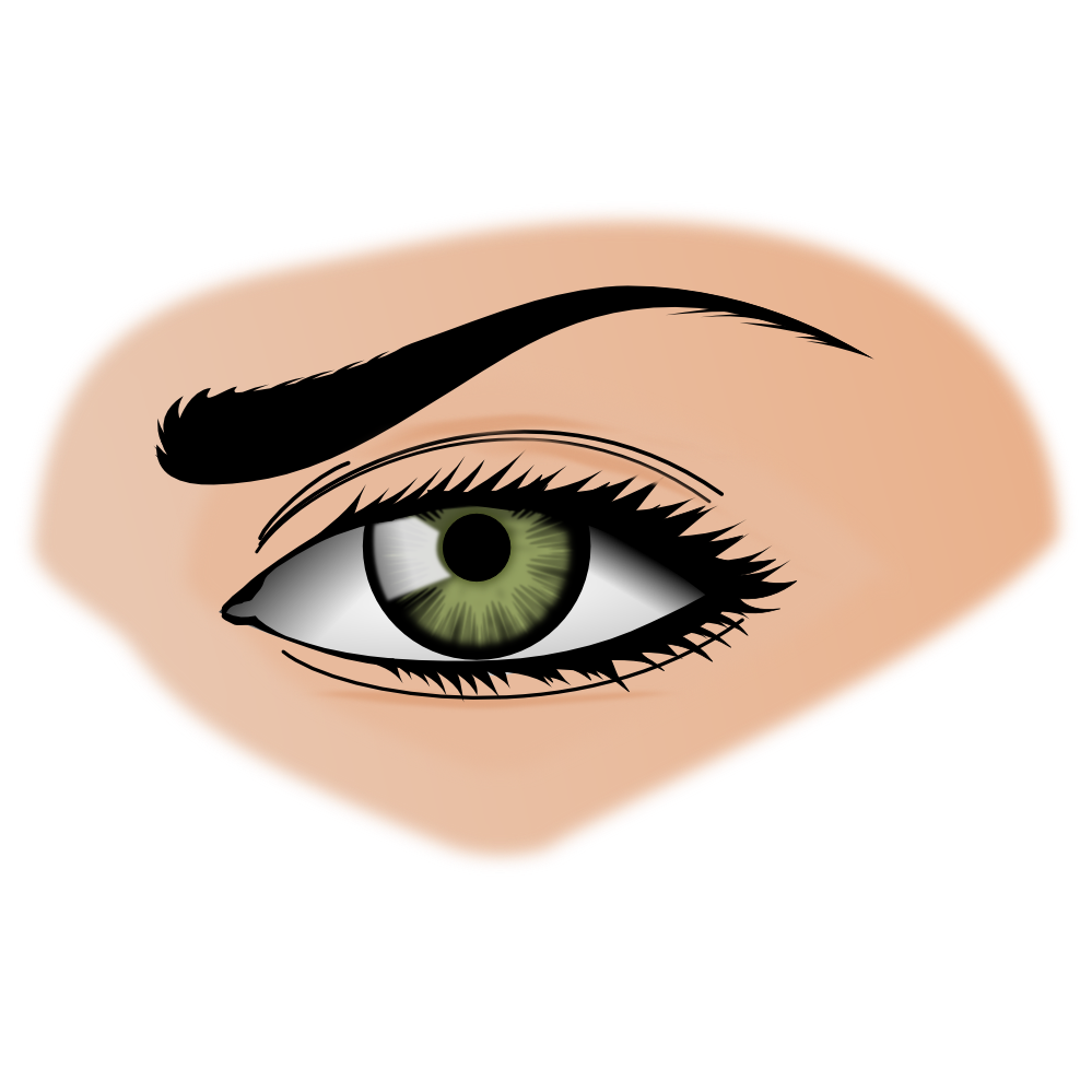 eyelash clipart transparent background