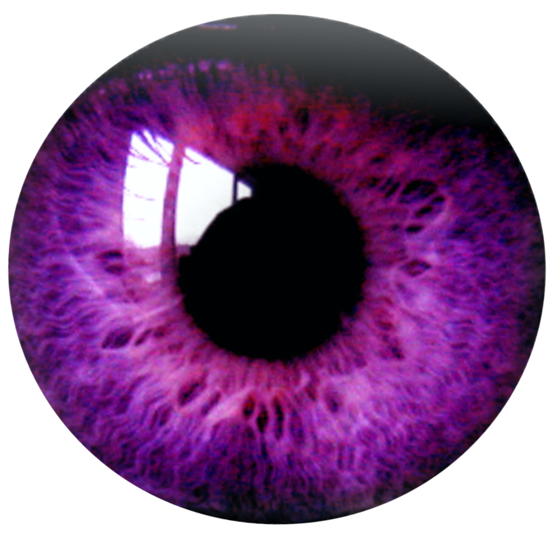 eyelashes clipart purple eye
