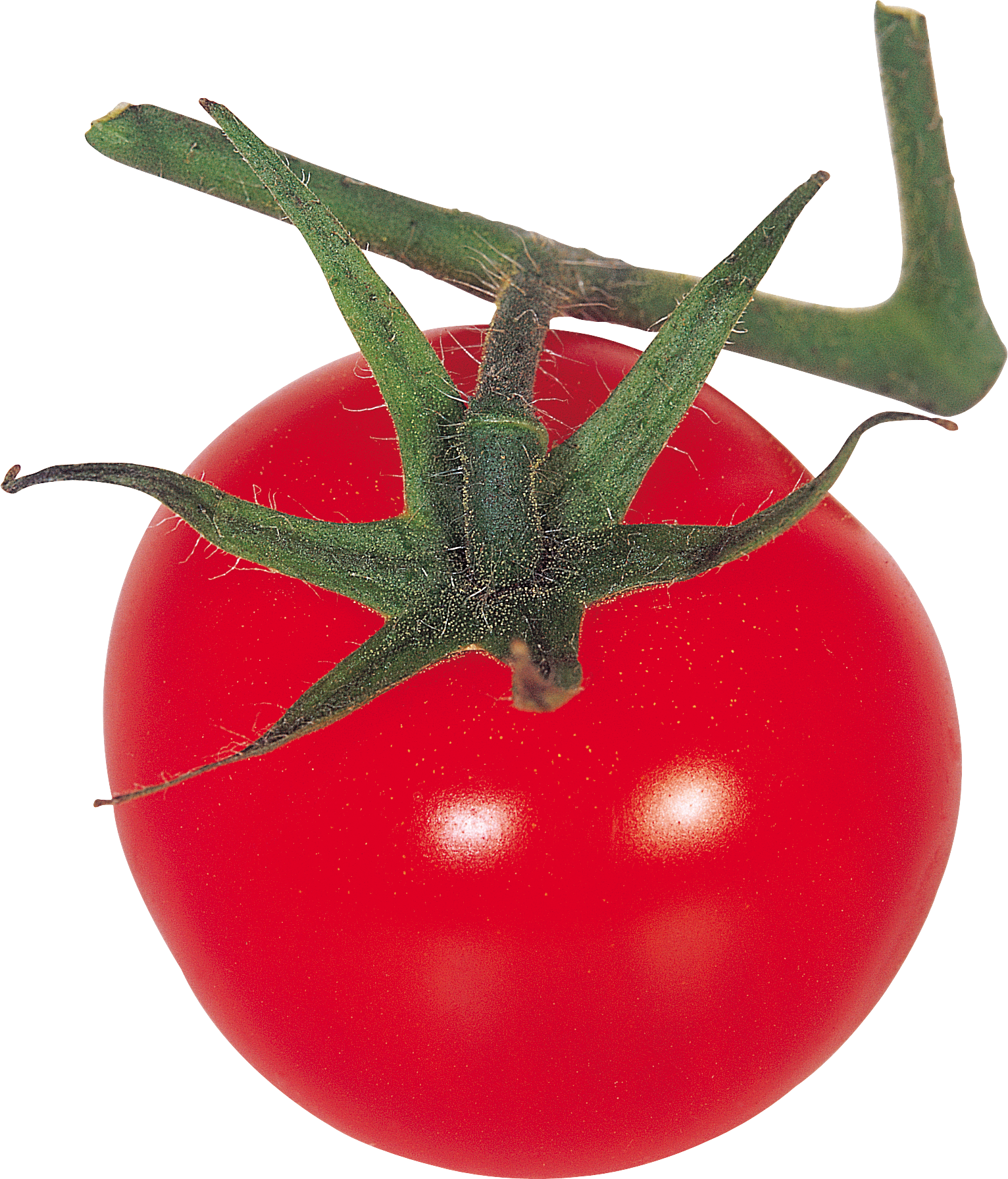 Tomatoes lettuce tomato