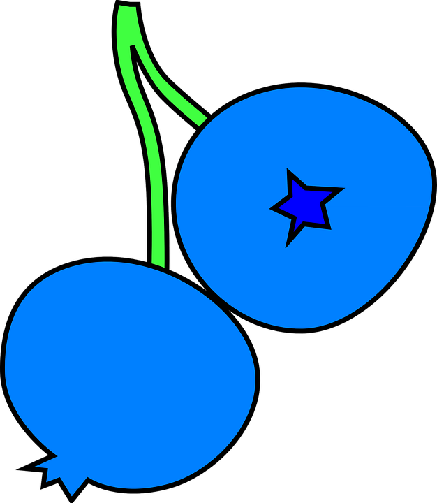 face clipart blueberry