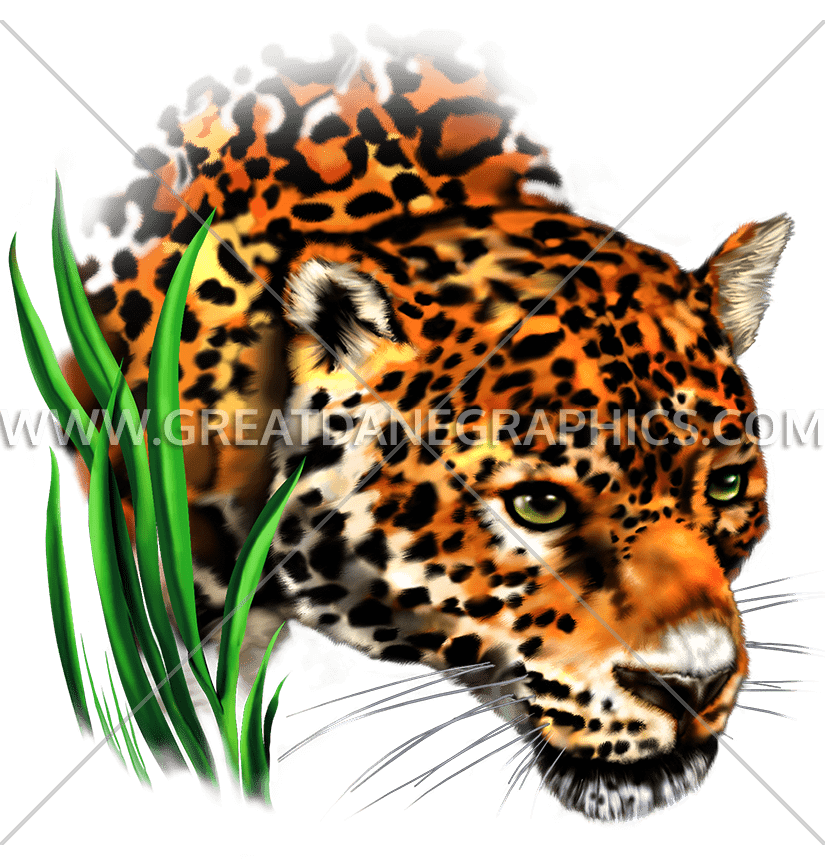 Leopard jaguar football