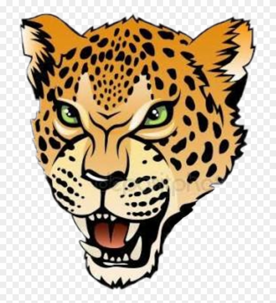 jaguar clipart face