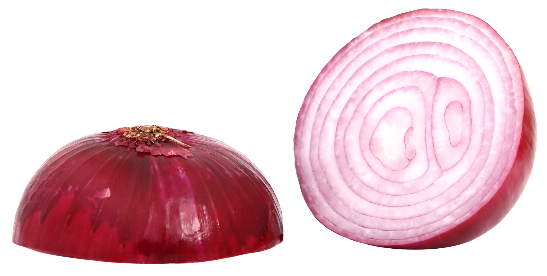 onion clipart face