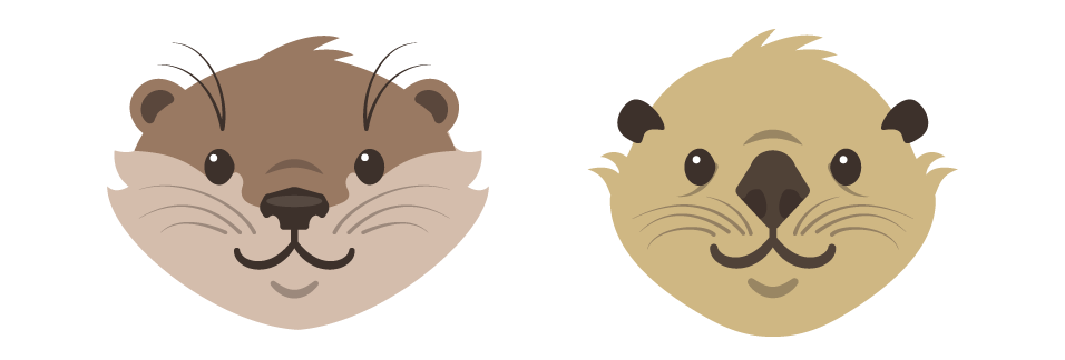 Face clipart otter. Animated pictures river otters