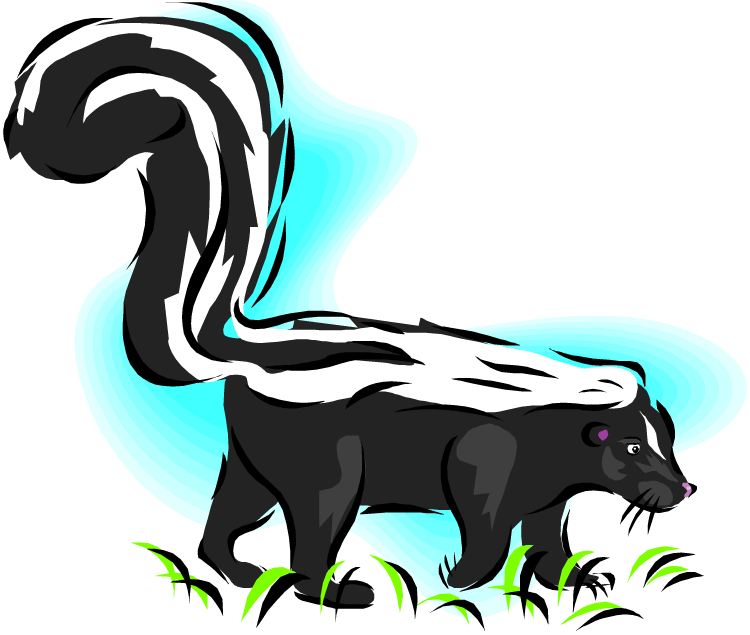Face clipart skunk. Free 