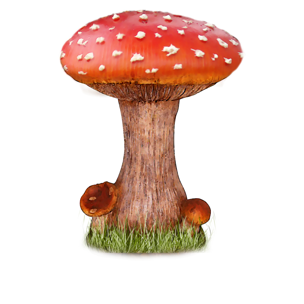 Png transparent images pluspng. Fairies clipart toadstool
