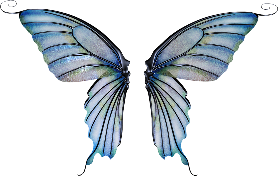 fairies clipart wing