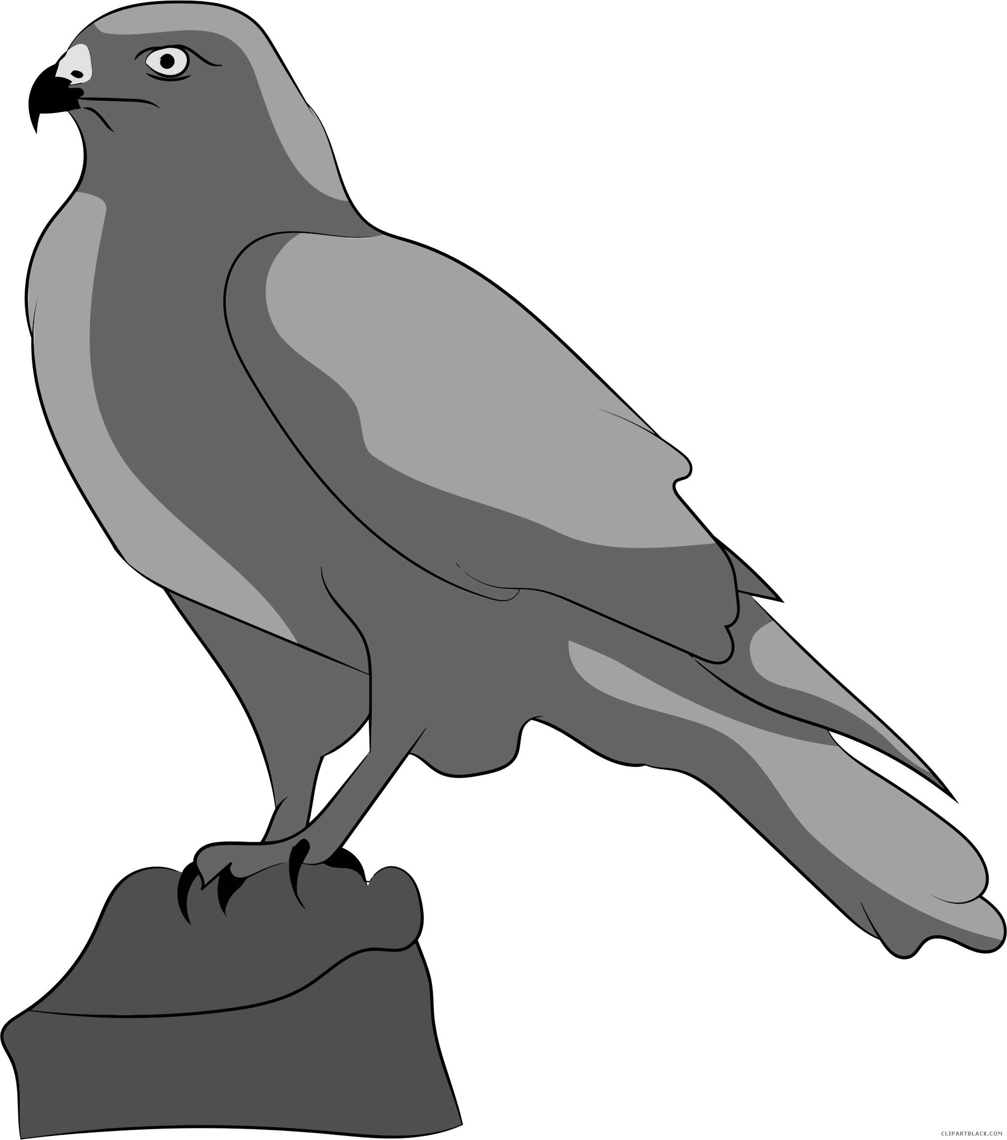 falcon clipart black and white