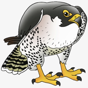 falcon clipart cartoon