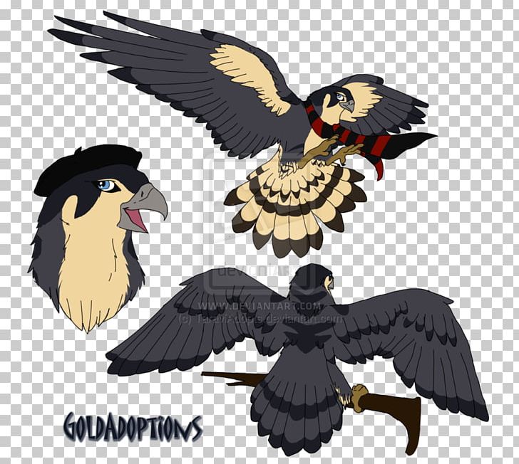 falcon clipart chibi