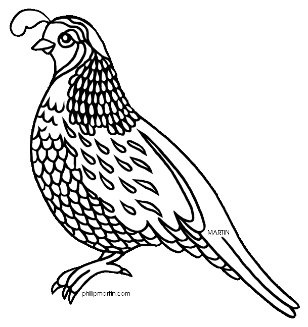 hunting clipart quail