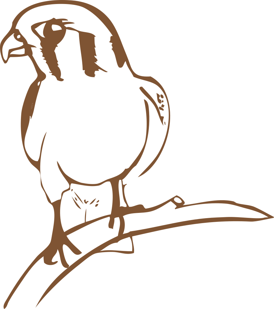falcon clipart cool