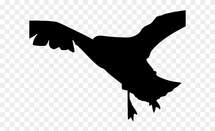 Falcon clipart eagle. Peregrine transparent png download