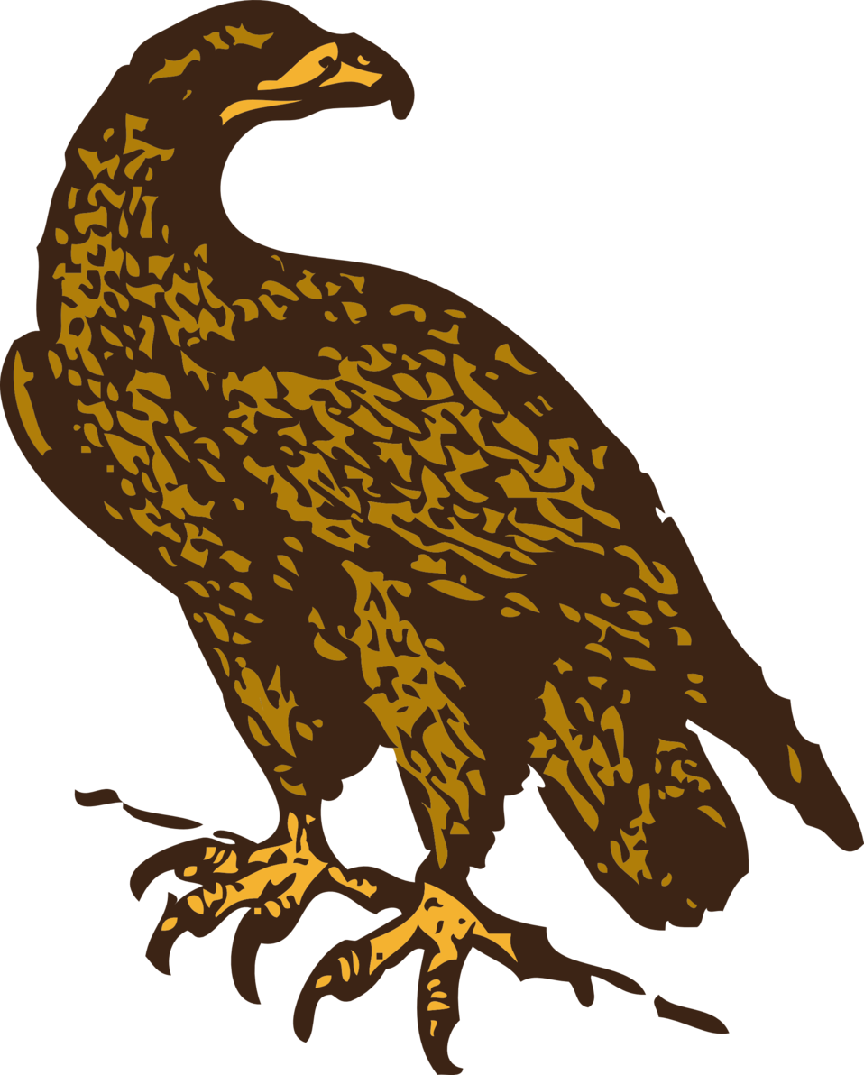 Public domain clip art. Falcon clipart eagle